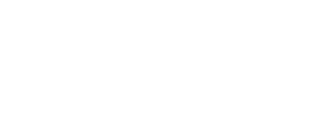seg Portal