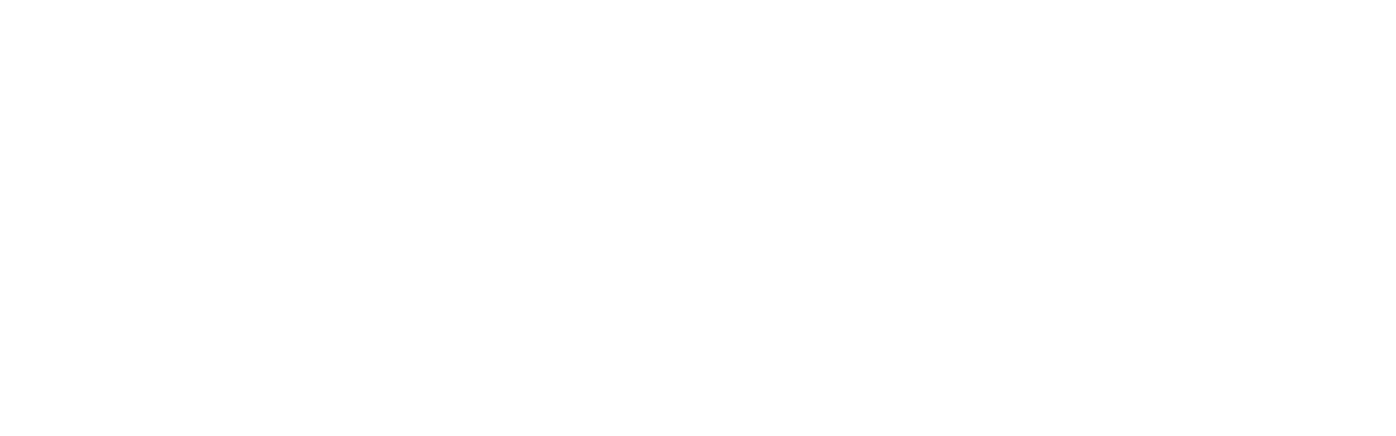 MPM Logo
