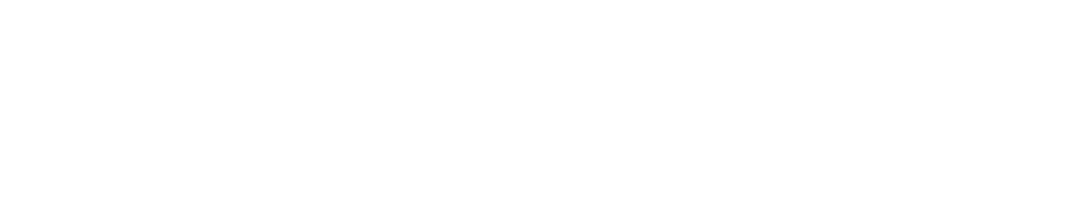 segPortal Banca